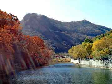 管家婆黑白马报图库，经济论坛